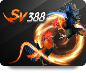 Hi88 Top Bet: Safe and Secure Betting Environment